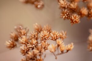 Allergy-Friendly Cooking for the Whole Family