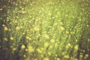 Allergy Testing What to Expect