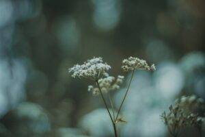Children and Allergies A Parent’s Guide