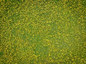 Children and Allergies What Parents Need to Know