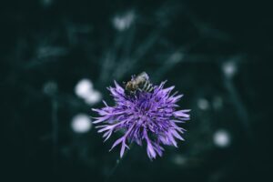 Gluten, Dairy, and Other Common Allergens