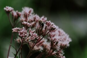 How to Read Food Labels for Allergens