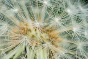 Navigating Allergy Triggers in Schools and Workplaces